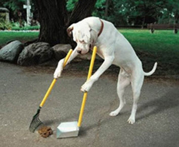 Pick up your own dog poop.