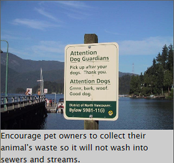 dog poop disposal hazards