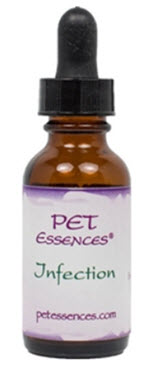  Pet FlowerEssence for Infections in Dogs caused by scratching, biting, licking, hair loss from bites, allergies, infection, anxiety, and heat. Available from www.carolesdoggieworld.com