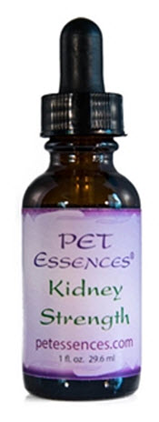 Pet Essence for allergic reactions to kidneys from dog vaccinations