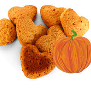 The benefits of pumpkin biscuits for dogs