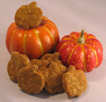 The benefits of pumpkin treats for dogs