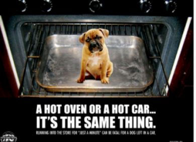 Carole's Doggie World tip - dog overheating in car